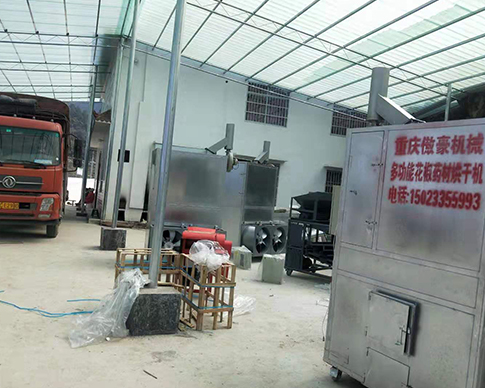 安徽正規生物顆粒燃燒機廠家